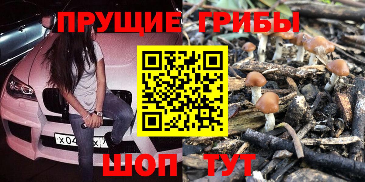 Берёзовский  Псилоцибиновые грибы MAGIC MUSHROOMS  Вход с VPN 